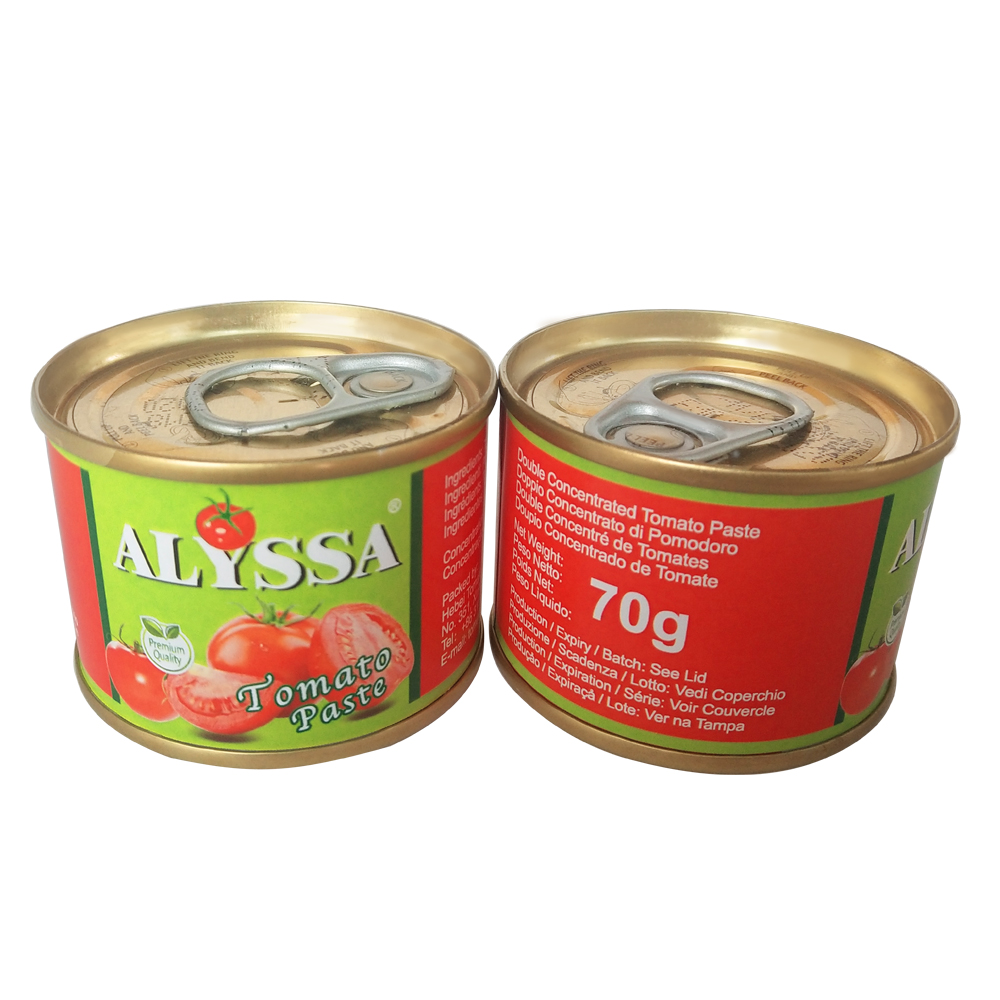 China easy open canned tomatoes production line 70g tomato